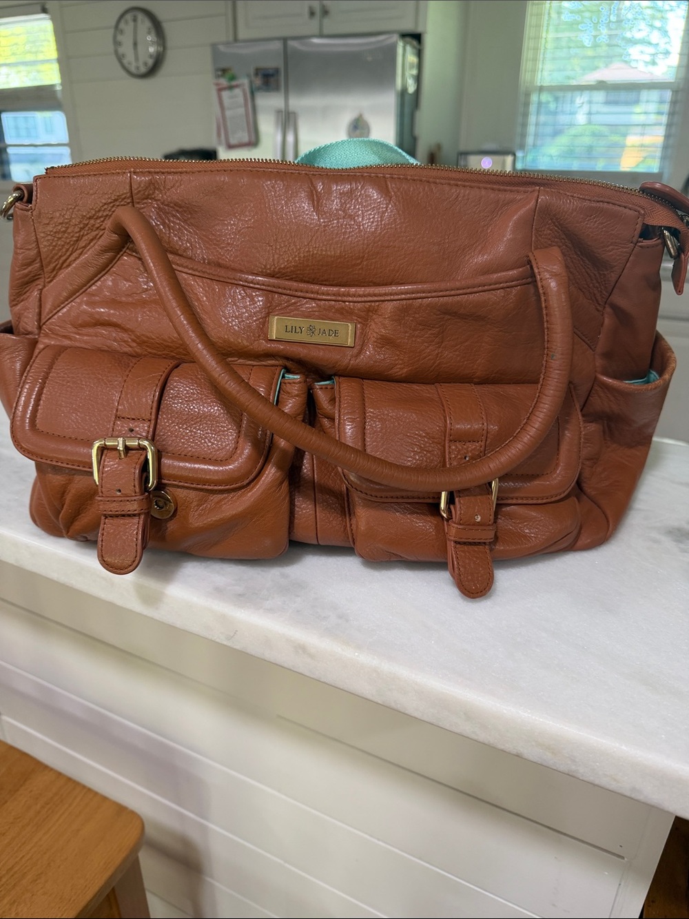 Lily Jade Diaper Bag Backpack Women's Tan Leather Satchel Bag